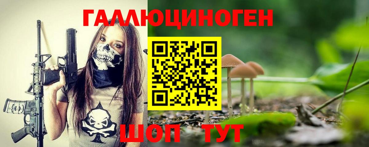 Галлюциногенные грибы прущие грибы Черкесск