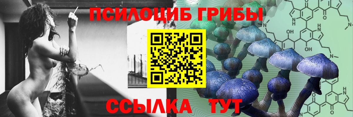 Псилоцибиновые грибы Magic Shrooms  Вход с VPN  Черкесск 
